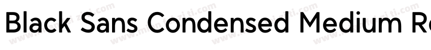 Black Sans Condensed Medium Regular字体转换